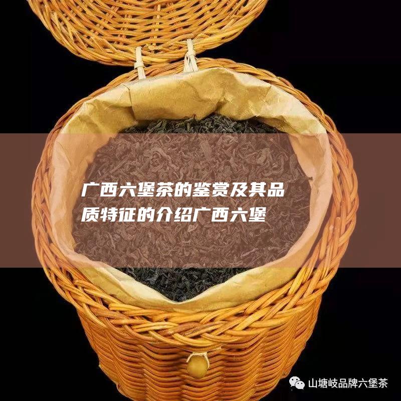 广西六堡茶的鉴赏及其品质特征的介绍 (广西六堡茶的功效)