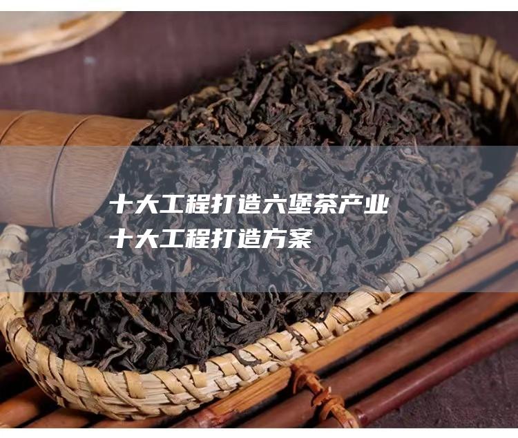 十大工程打造六堡茶产业 (十大工程打造方案)