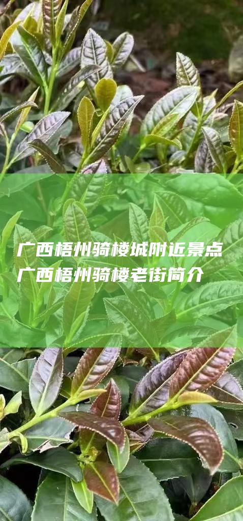 广西梧州骑楼城附近景点 (广西梧州骑楼老街简介)