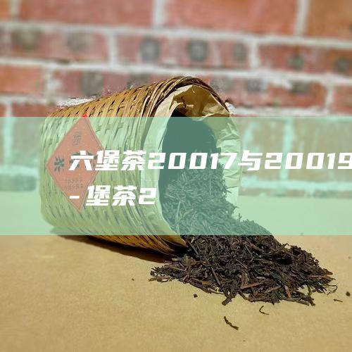 六堡茶20017与20019的区别 (六堡茶20057测评)