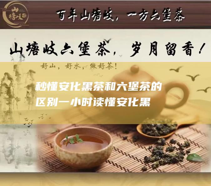 秒懂安化黑茶和六堡茶的区别 (一小时读懂安化黑茶)