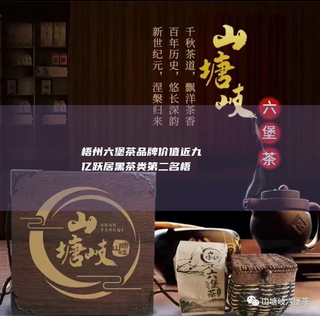 梧州六堡茶品牌价值近九亿跃居黑茶类第二名 (梧州六堡茶品牌排行)