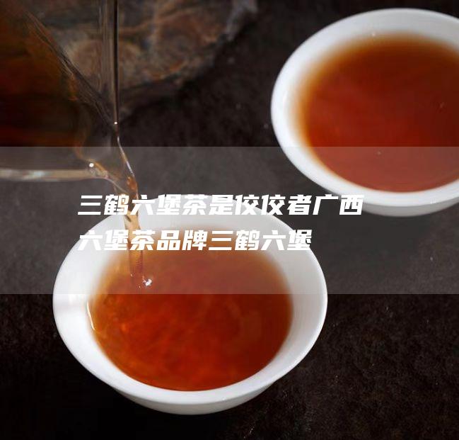 三鹤六堡茶是佼佼者！ 广西六堡茶品牌 (三鹤六堡茶是什么茶)