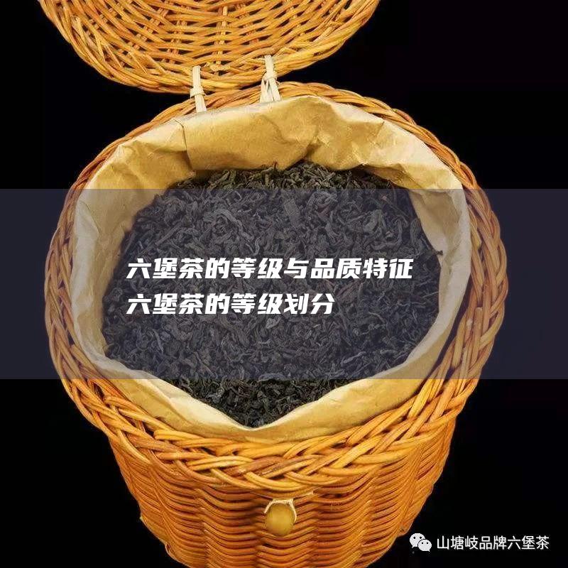 六堡茶的等级与品质特征 (六堡茶的等级划分)