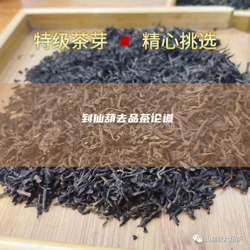 到仙葫去品茶论道