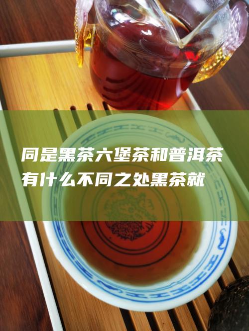 同是黑茶 六堡茶和普洱茶有什么不同之处 (黑茶就是六堡茶吗)