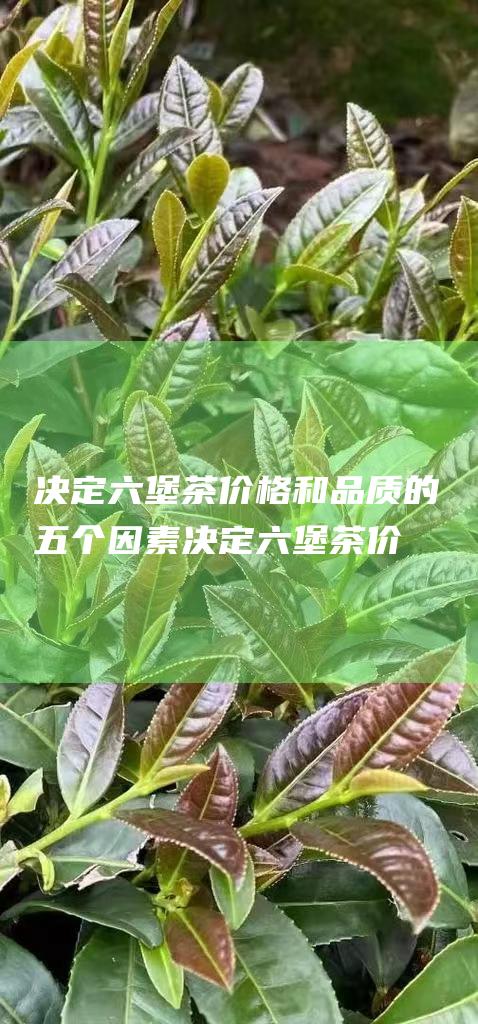 决定六堡茶价格和品质的五个因素 (决定六堡茶价值的因素)