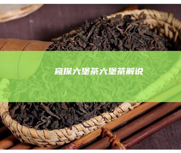 窥探 六堡茶 (六堡茶解说)