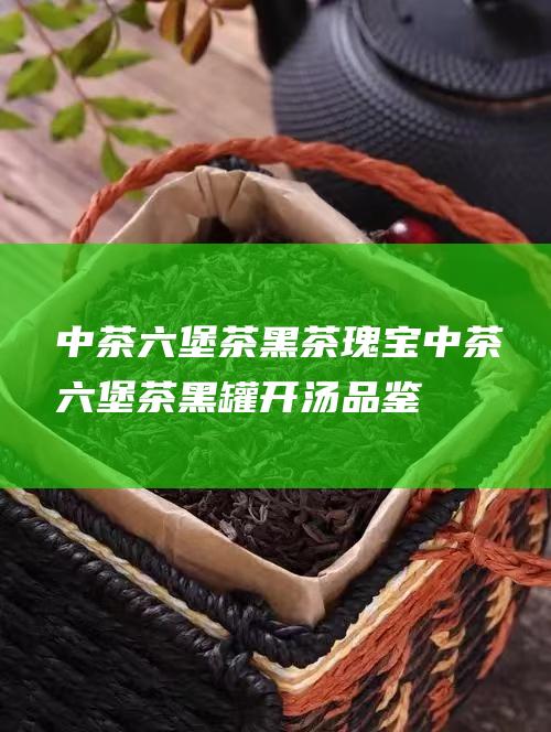 中茶六堡茶 黑茶瑰宝 (中茶六堡茶黑罐开汤品鉴)