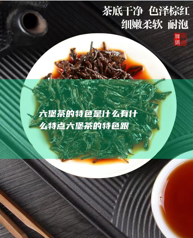 六堡茶的特色是什么 有什么特点 (六堡茶的特色跟功效是什么?)