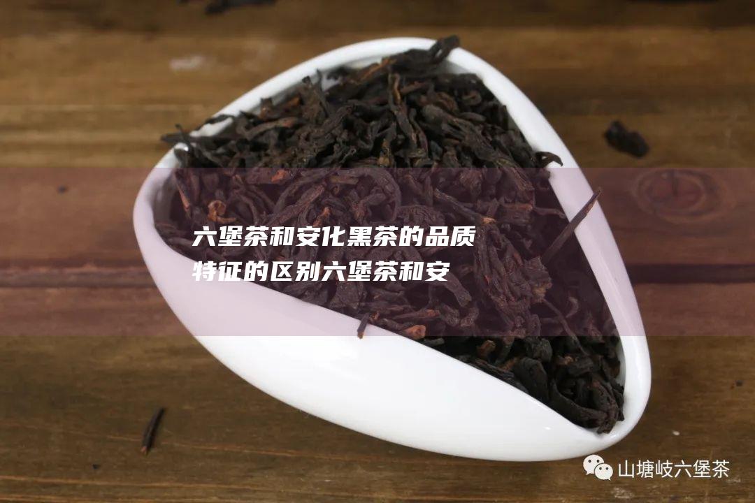 六堡茶和安化黑茶的品质特征的区别 (六堡茶和安化黑茶的区别)