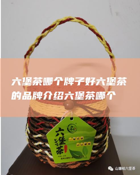 六堡茶哪个牌子好 六堡茶的品牌介绍 (六堡茶哪个牌子正宗)