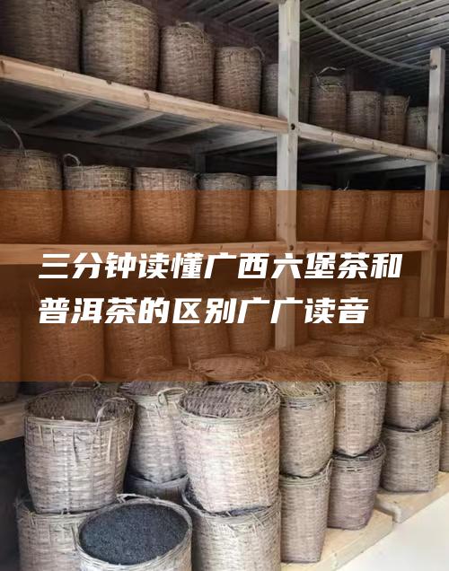 三分钟读懂广西六堡茶和普洱茶的区别 (广广读音)