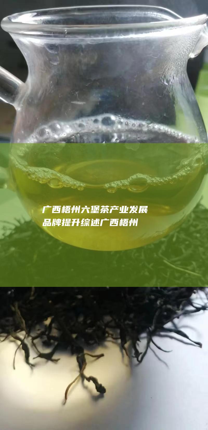 产业发展品牌提升综述