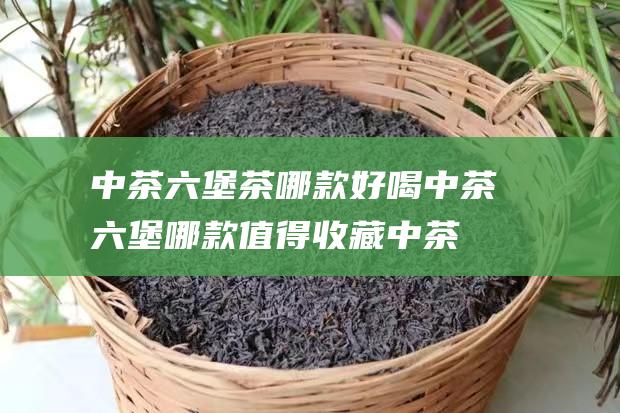 中茶六堡茶哪款好喝 中茶六堡哪款值得收藏 (中茶六堡茶哪款值得收藏)