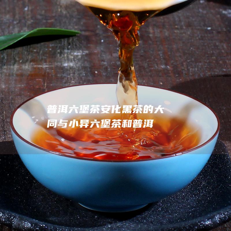 普洱 六堡茶 安化黑茶的大同与小异 (六堡茶和普洱茶相比,哪个历史长)