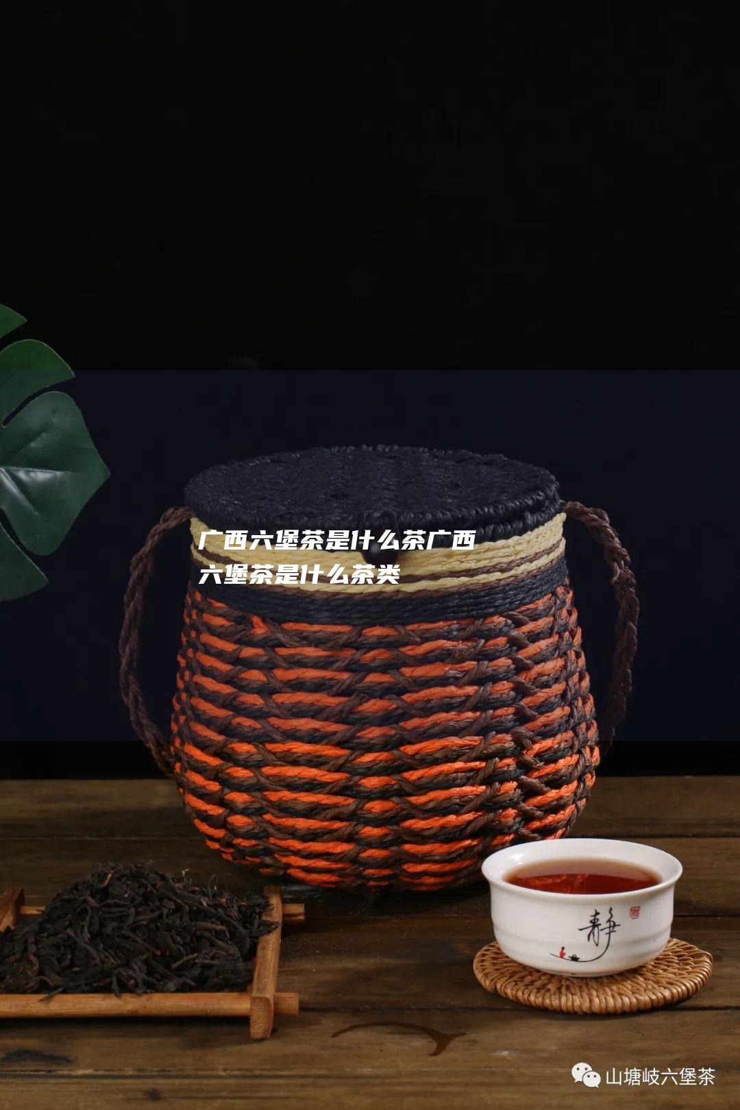 广西六堡茶是什么茶 (广西六堡茶是什么茶类)