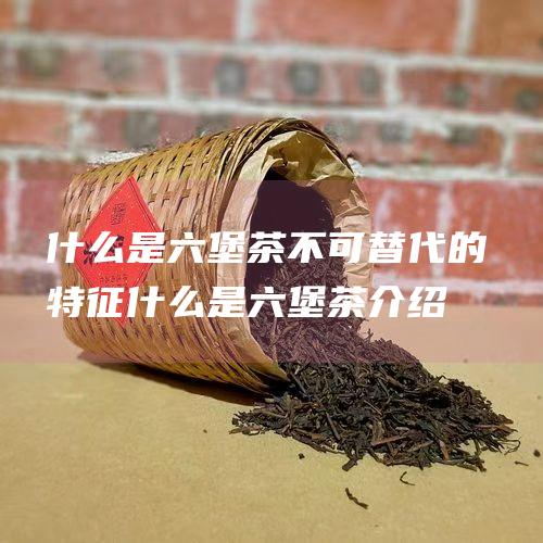 什么是六堡茶不可替代的特征 (什么是六堡茶介绍)