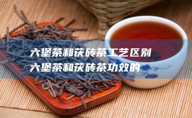 六堡茶和茯砖茶工艺区别 (六堡茶和茯砖茶功效的区别)