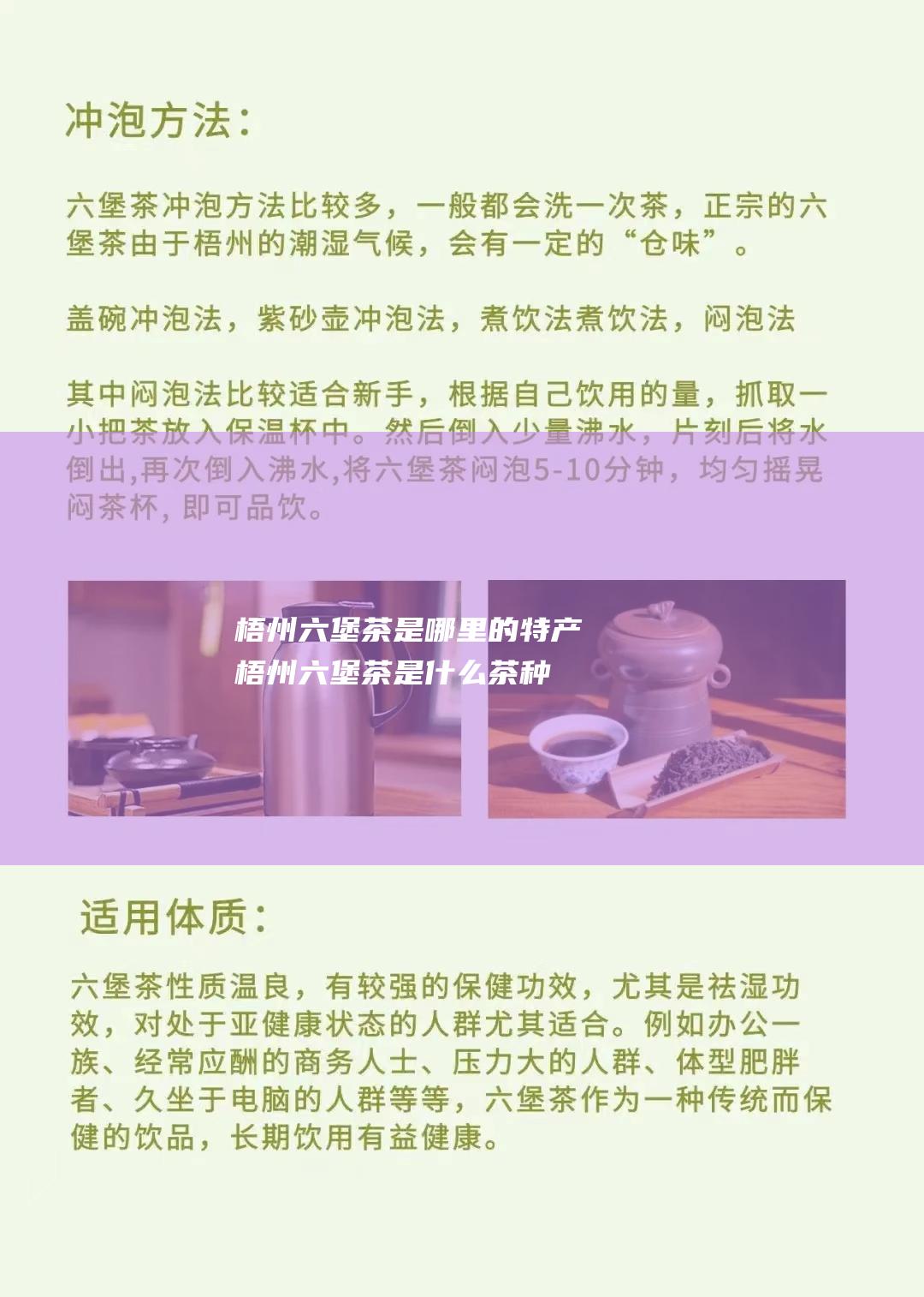 梧州六堡茶是哪里的特产 (梧州六堡茶是什么茶种)