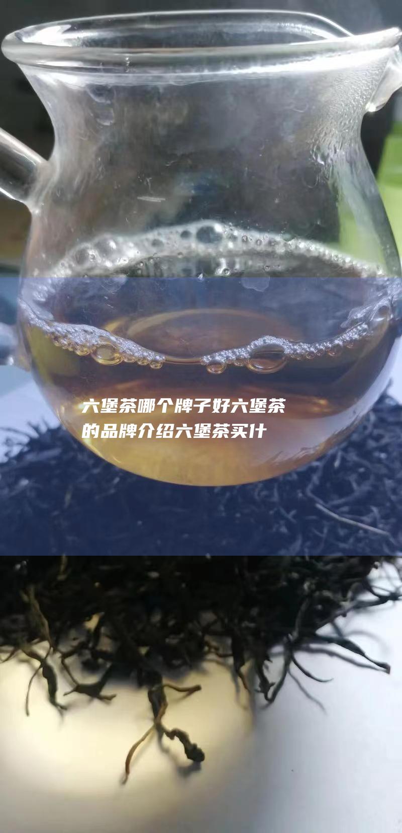 六堡茶哪个牌子好 六堡茶的品牌介绍 (六堡茶买什么牌子)