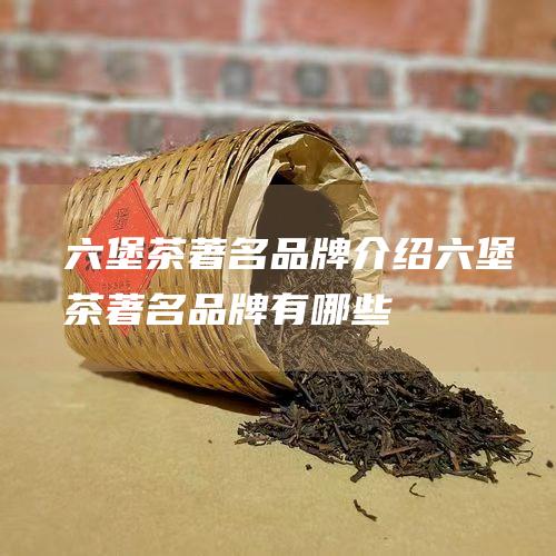 六堡茶著名品牌介绍 (六堡茶著名品牌有哪些)