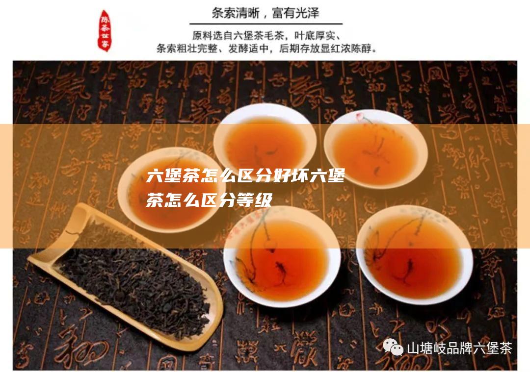 六堡茶怎么区分好坏 (六堡茶怎么区分等级)