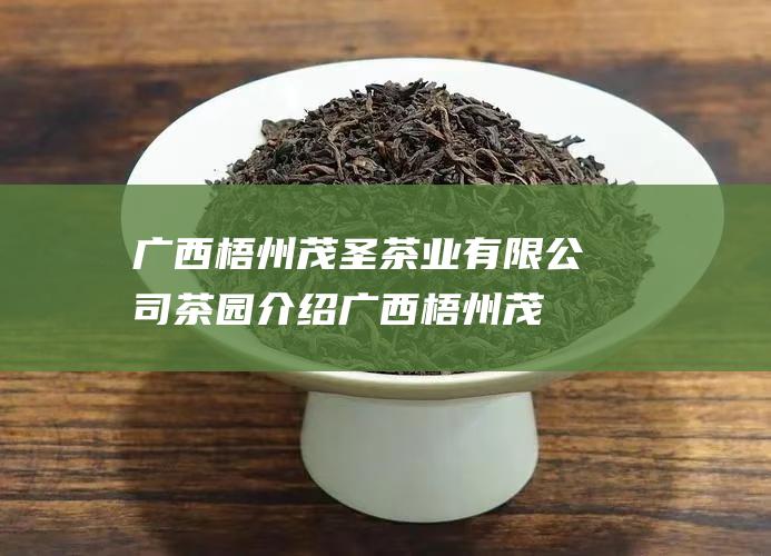 广西梧州茂圣茶业有限公司茶园介绍 (广西梧州茂圣茶业有限公司)