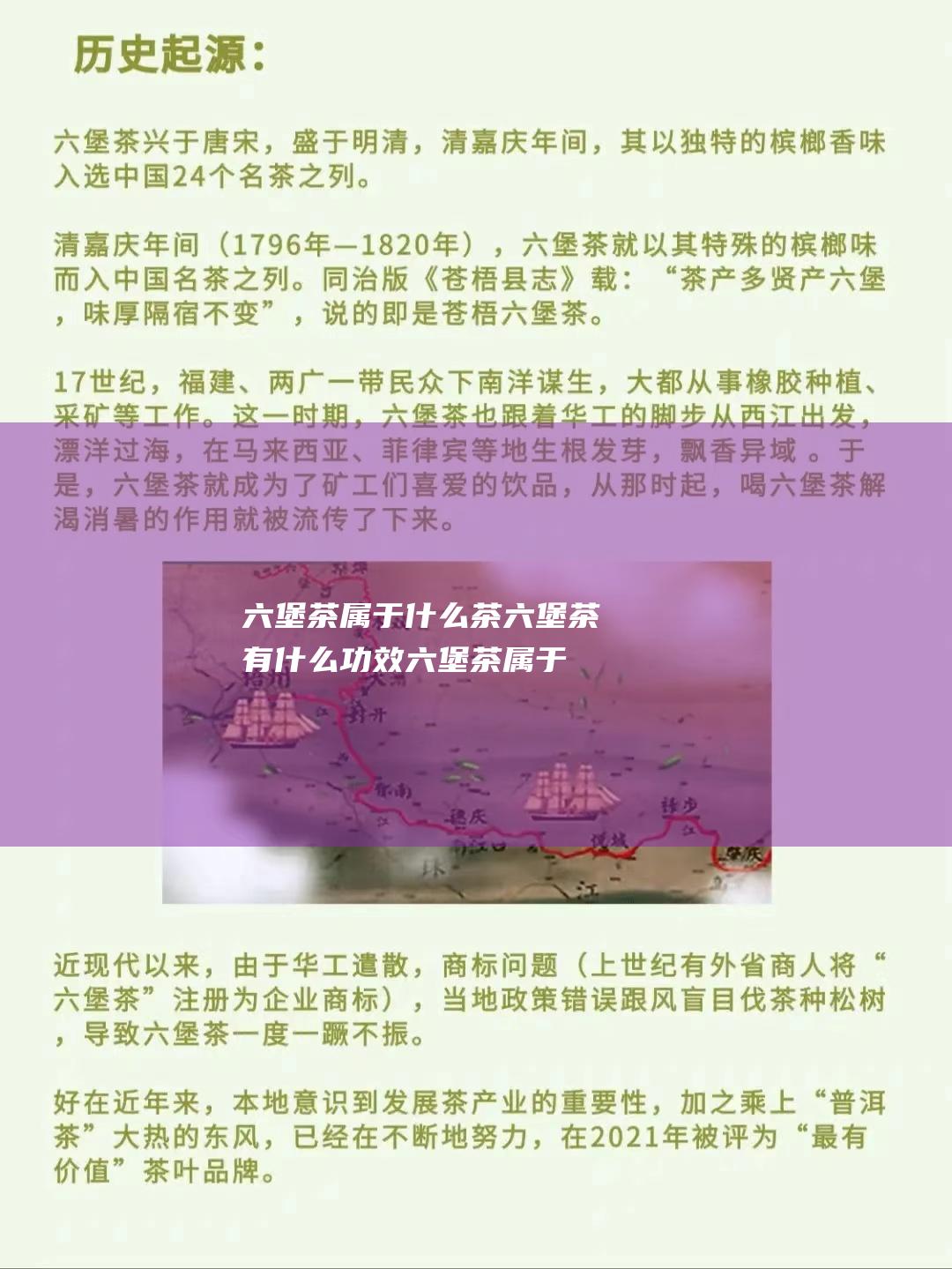 六堡茶属于什么茶 六堡茶有什么功效 (六堡茶属于什么茶类)