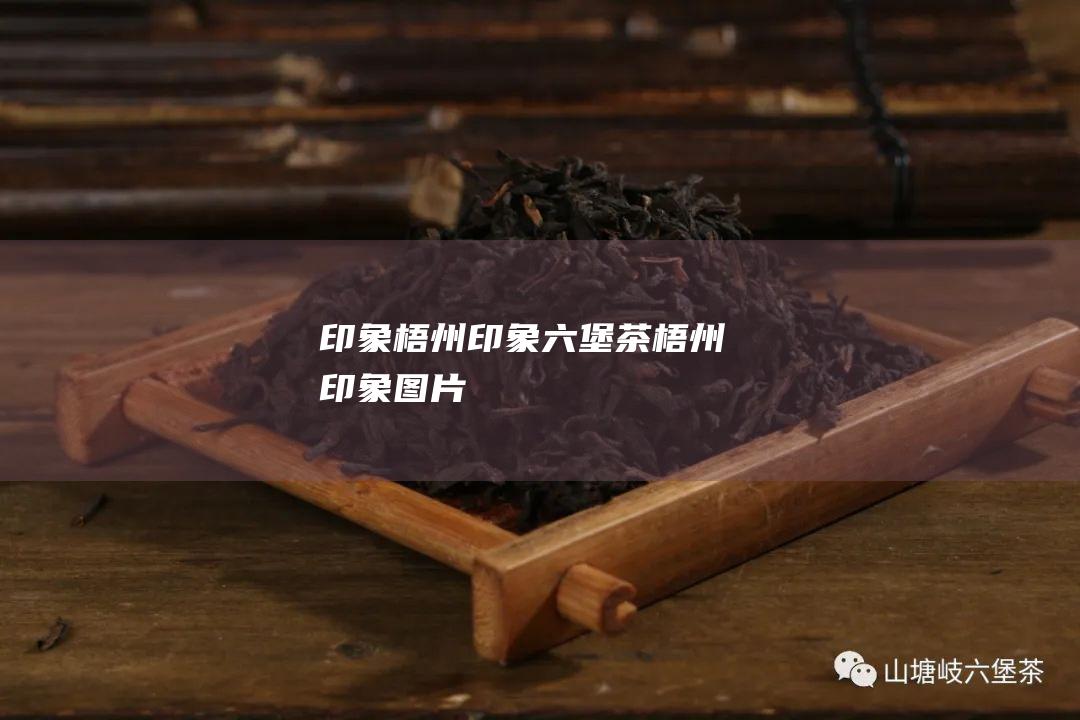 印象梧州印象六堡茶 (梧州印象图片)