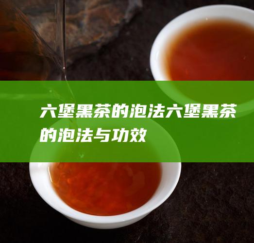 六堡黑茶的泡法 (六堡黑茶的泡法与功效)