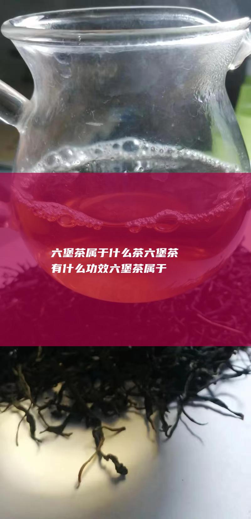 六堡茶属于什么茶 六堡茶有什么功效 (六堡茶属于什么茶种)