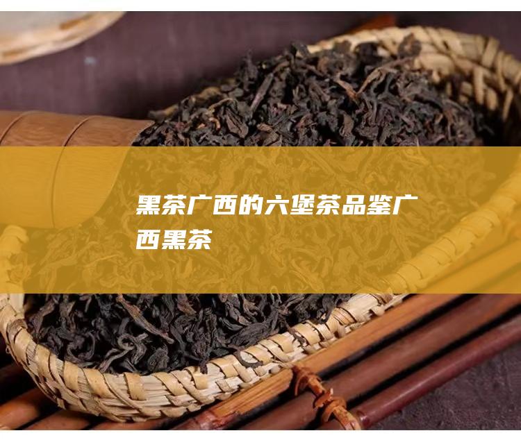 黑茶广西的六堡茶品鉴 (广西 黑茶)