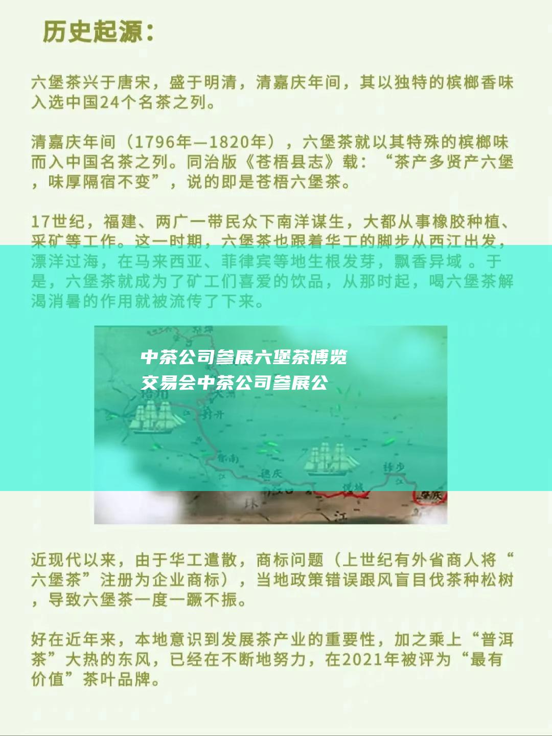 中茶公司参展六堡茶博览交易会 (中茶公司参展公司名称)