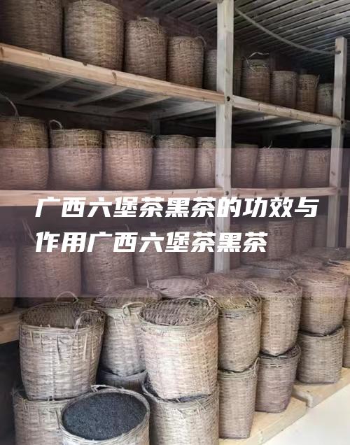 广西六堡茶黑茶的功效与作用 (广西六堡茶黑茶)