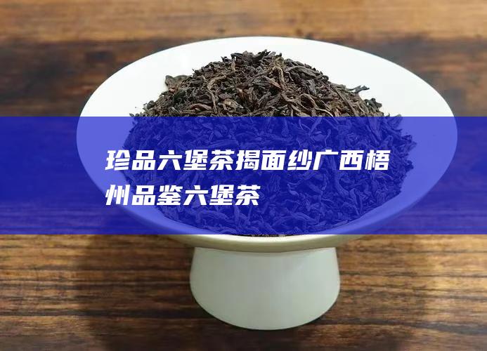 珍品六堡茶揭面纱 广西梧州 (品鉴六堡茶)