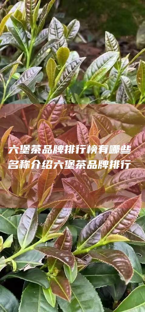 六堡茶品牌排行榜有哪些 名称介绍 六堡茶品牌排行榜前十名 (六堡茶品牌排行榜前十名)