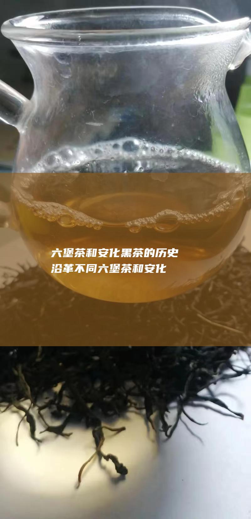 六堡茶和安化黑茶的历史沿革不同 (六堡茶和安化黑茶哪个好)