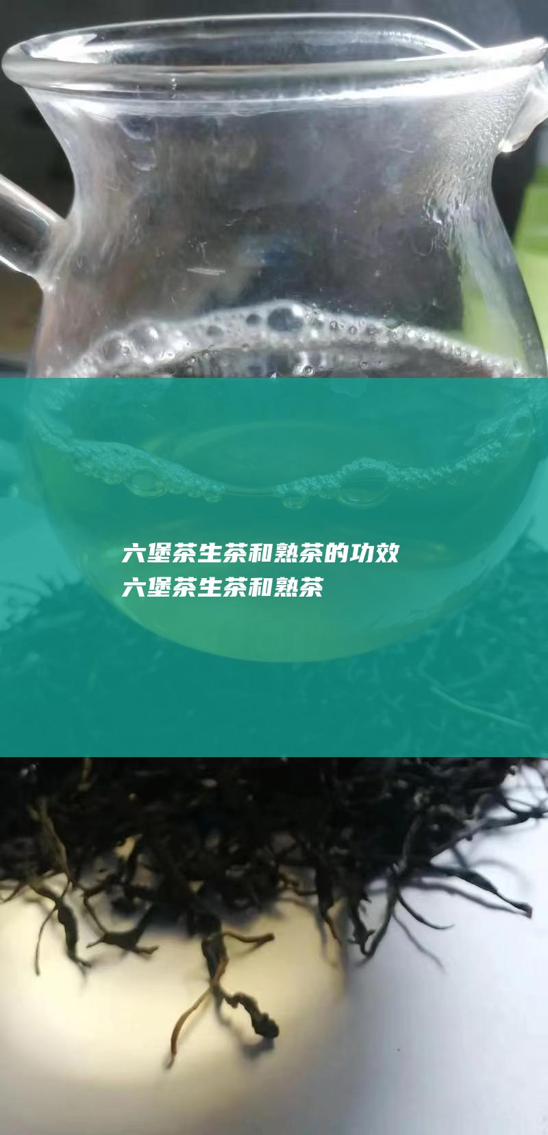 茶生茶和熟茶的功效茶生茶和熟茶