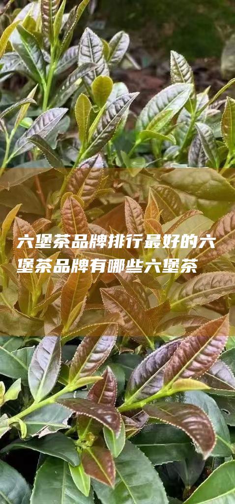 六堡茶品牌排行 最好的六堡茶品牌有哪些 (六堡茶品牌排行)