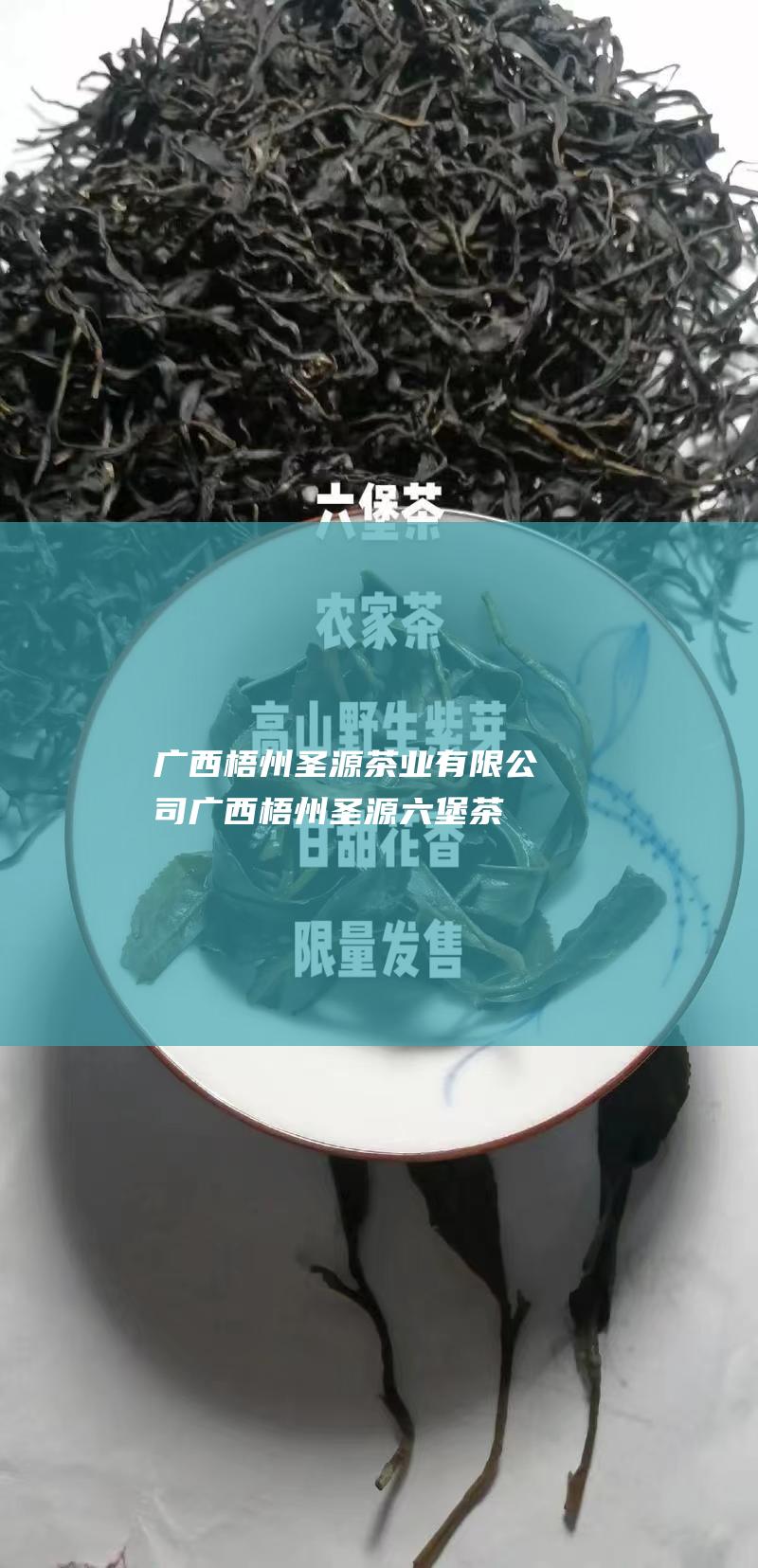 广西梧州圣源茶业有限公司 (广西梧州圣源六堡茶有限公司简介)