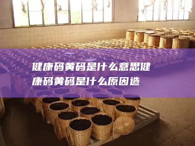 健康码黄码是什么意思健康码黄码是什么原因造