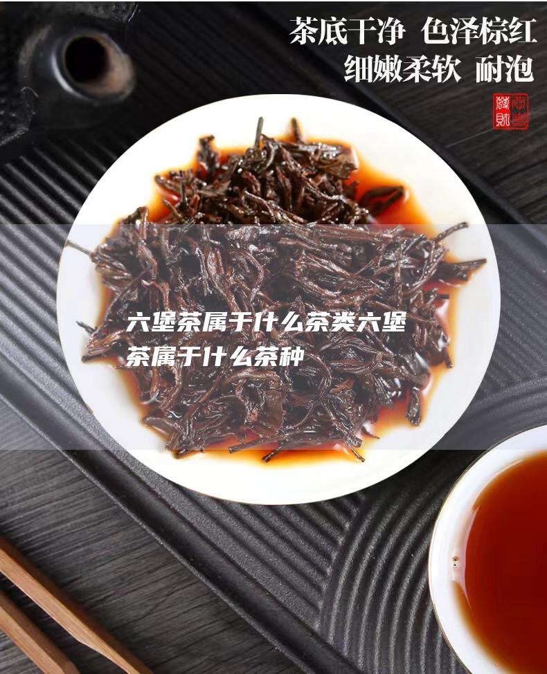 六堡茶属于什么茶类 (六堡茶属于什么茶种)