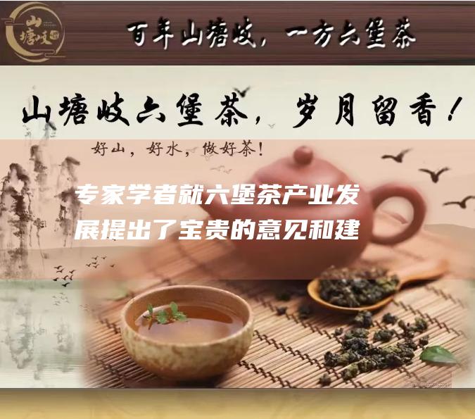 专家学者就六堡茶产业发展提出了宝贵的意见和建议 (专家学者教授)