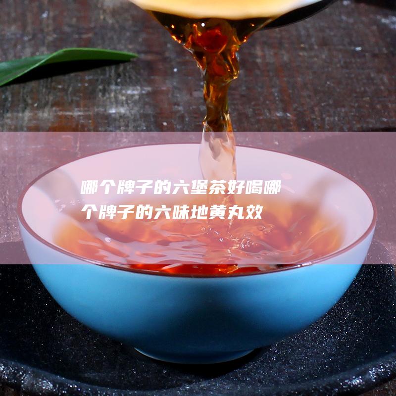 哪个牌子的六堡茶好喝 (哪个牌子的六味地黄丸效果比较好)