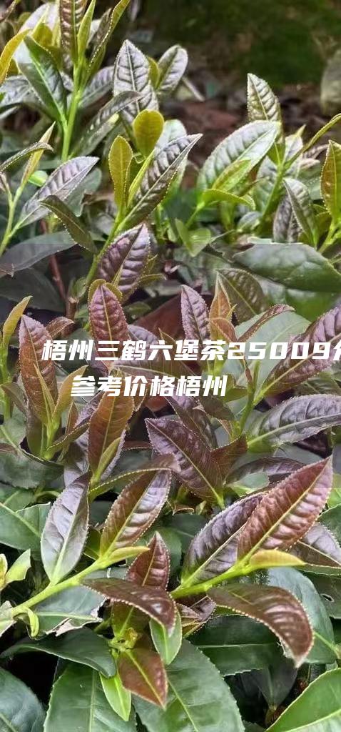 梧州三鹤六堡茶25009介绍及参考价格 (梧州三鹤六堡茶)