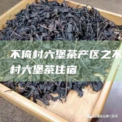 不倚村 六堡茶产区之 (不倚村六堡茶住宿)