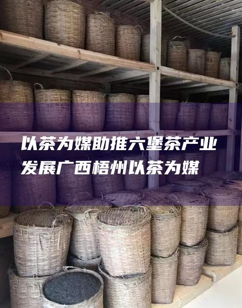 以 茶 为媒助推六堡茶产业发展 广西梧州 (以茶为媒以茶会友)