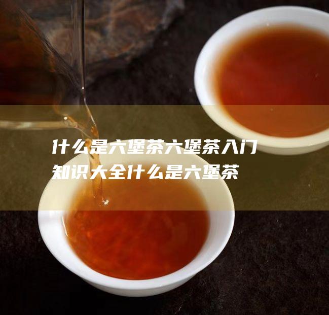 什么是六堡茶 六堡茶入门知识大全 (什么是六堡茶?它对身体有什么好处)