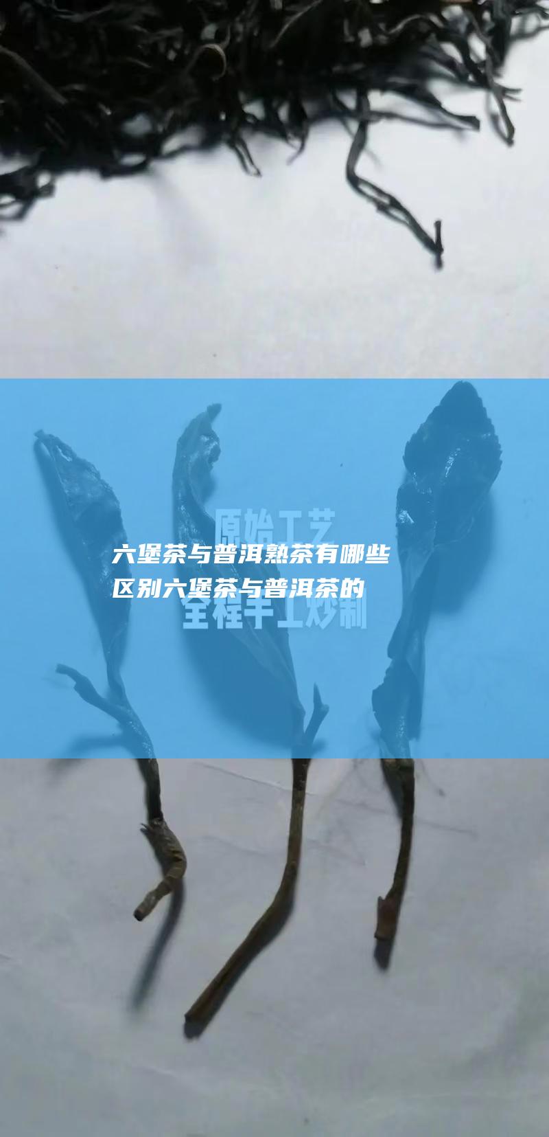 与普洱熟茶有哪些区别与的